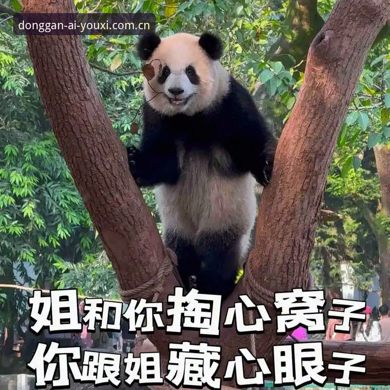 老用户掏心窝子聊聊爱游戏体育中国无需加载的实战体验